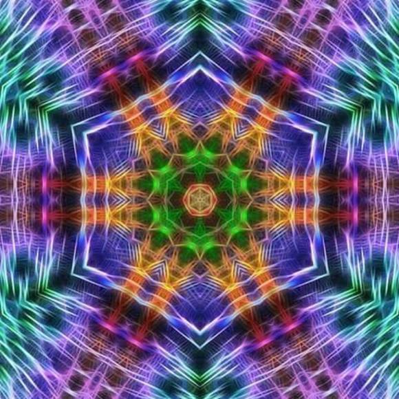 Meet your Posher, Neva - Picture 1 of 1